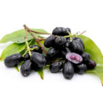 Java Plum Full of Health Benefits – a Boon for Health